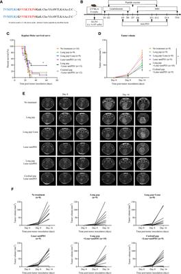 The long multi-epitope peptide vaccine combined with adjuvants improved the therapeutic effects in a glioblastoma mouse model